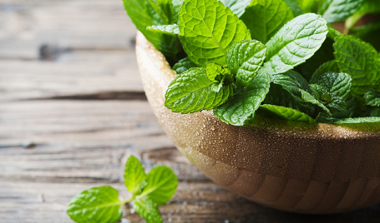 Natural recipes for skin care from mint