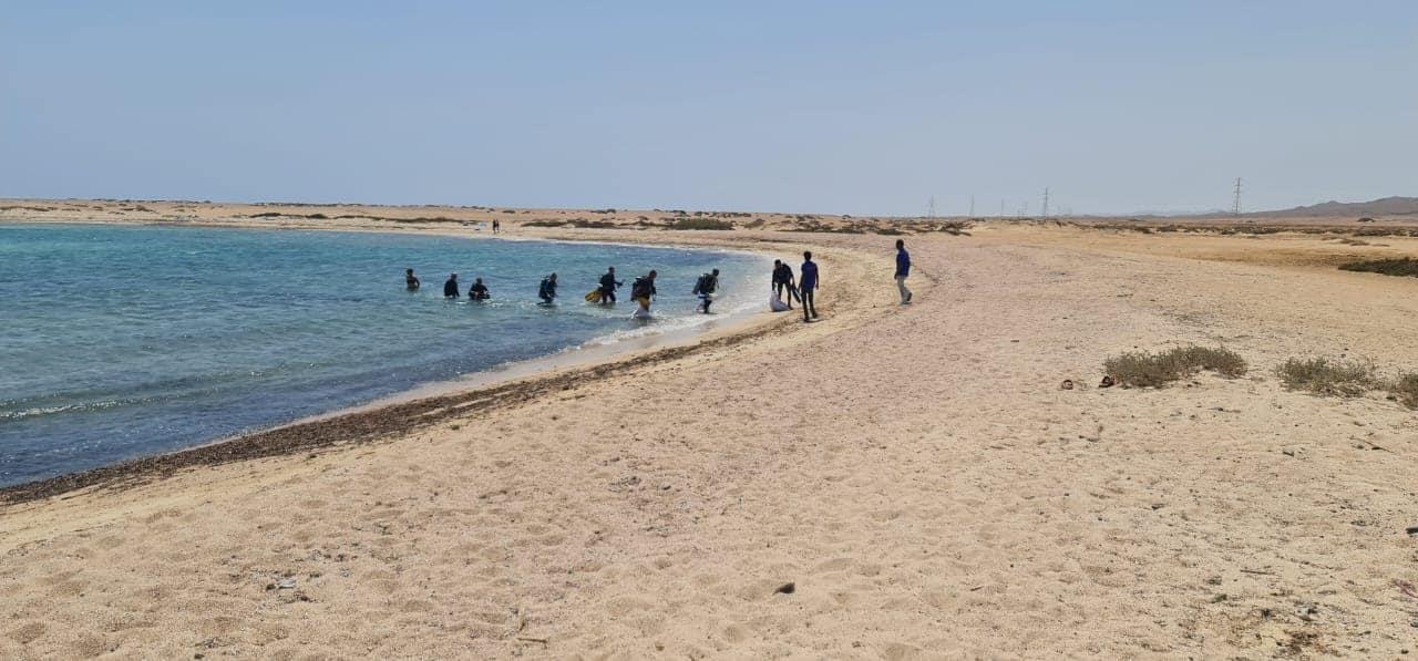 غواصين يشاركون فى حملات تنظيف البحر