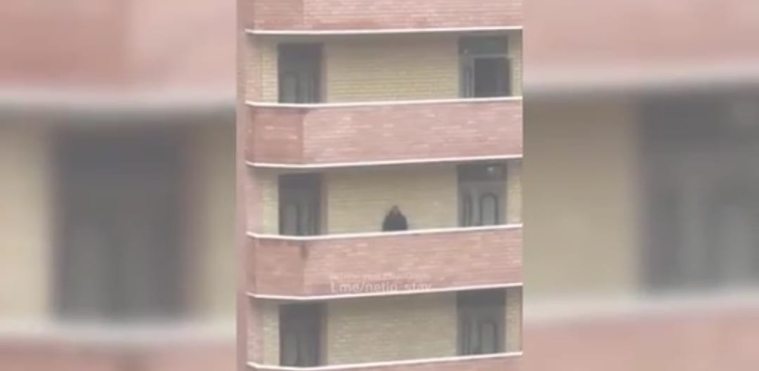 إنقاذ رجل حاول القفز من شرفة منزله فى روسيا (3)