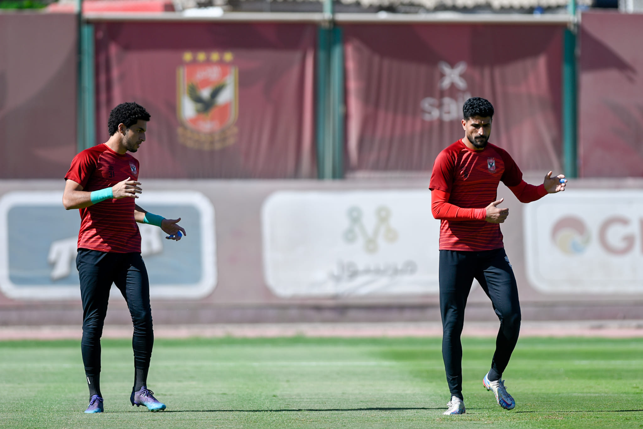 لطفي وشوبير