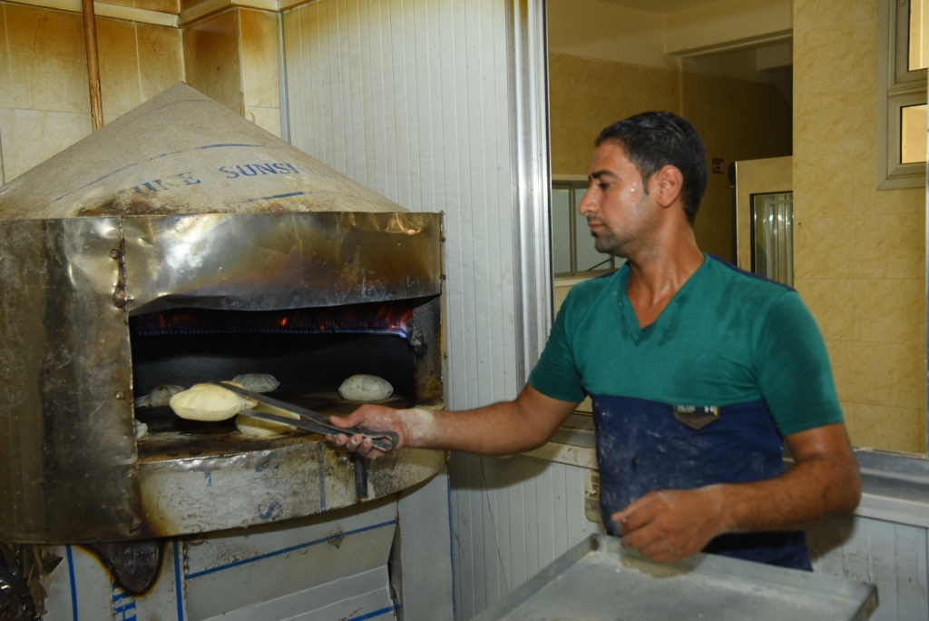  مخبز المنتجات الخالية من الجلوتين بكلية زراعة جامعة أسيوط (3)