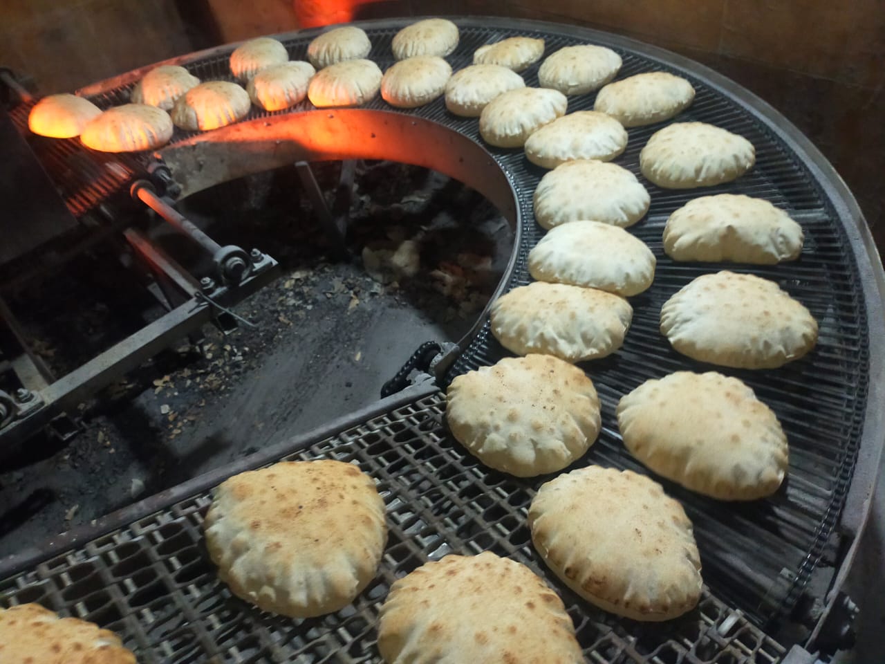 انتاج الخبز بكفر الشيخ