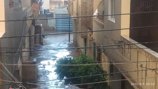 أمطار-متوسطة-وغزيرة-على-بعض-مدن-كفر-الشيخ-(15)