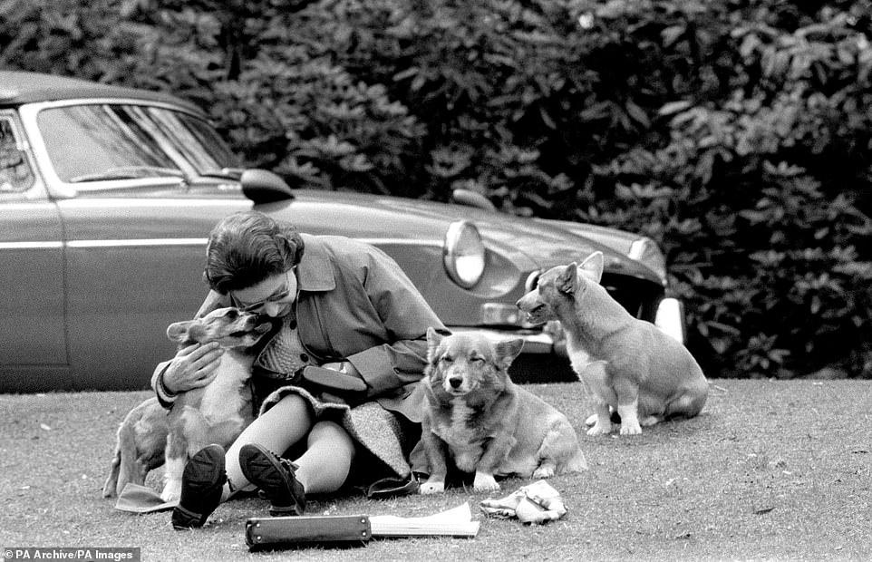 الملكة جالسة مع كلابها ، في فيرجينيا ووتر ، لمشاهدة المتنافسين ، بما في ذلك الأمير فيليب ، في ماراثون بطولة أوروبا للقيادة في 12 مايو 1973