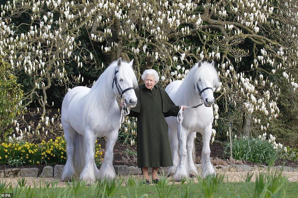 أصدر معرض رويال ويندسور للخيول صورة للملكة بمناسبة عيد ميلادها السادس والتسعين في أبريل