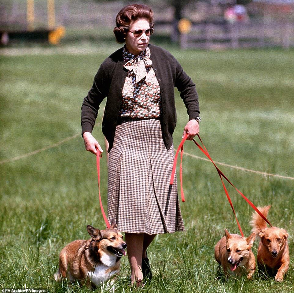 الملكة مع بعض من كلابها يسيرون في دورة Cross Country خلال اليوم الثاني من محاكمات Windsor Horse في 17 مايو 1980.
