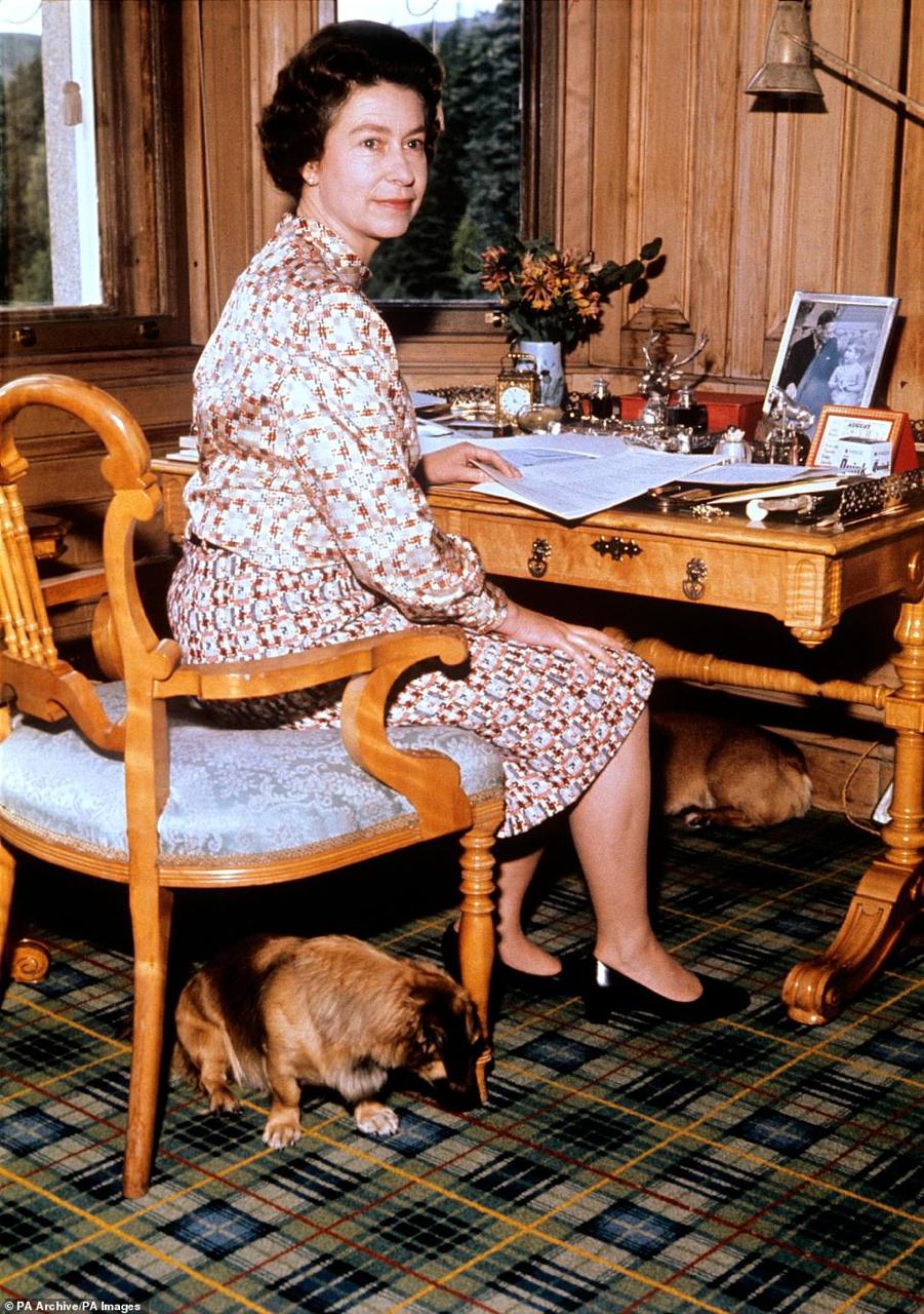 الملكة في دراستها في بالمورال في 1 سبتمبر 1972 - عام الذكرى الفضية لزواجها. حتى عندما كانت بعيدة عن لندن ، مقيمة في بالمورال أو ساندرينجهام ، كانت تتلقى أ