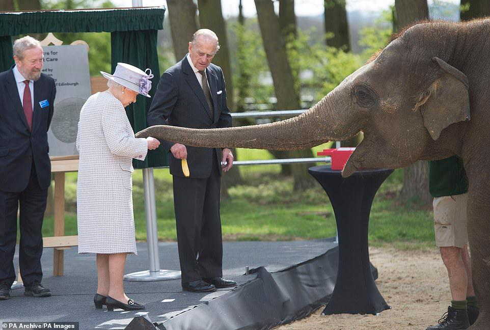الملكة إليزابيث الثانية والأمير فيليب ، دوق إدنبرة يطعمان دونا الفيل أثناء زيارتهما ZSL Whipsnade Zoo في مركز الفيل في 11 أبريل 2017