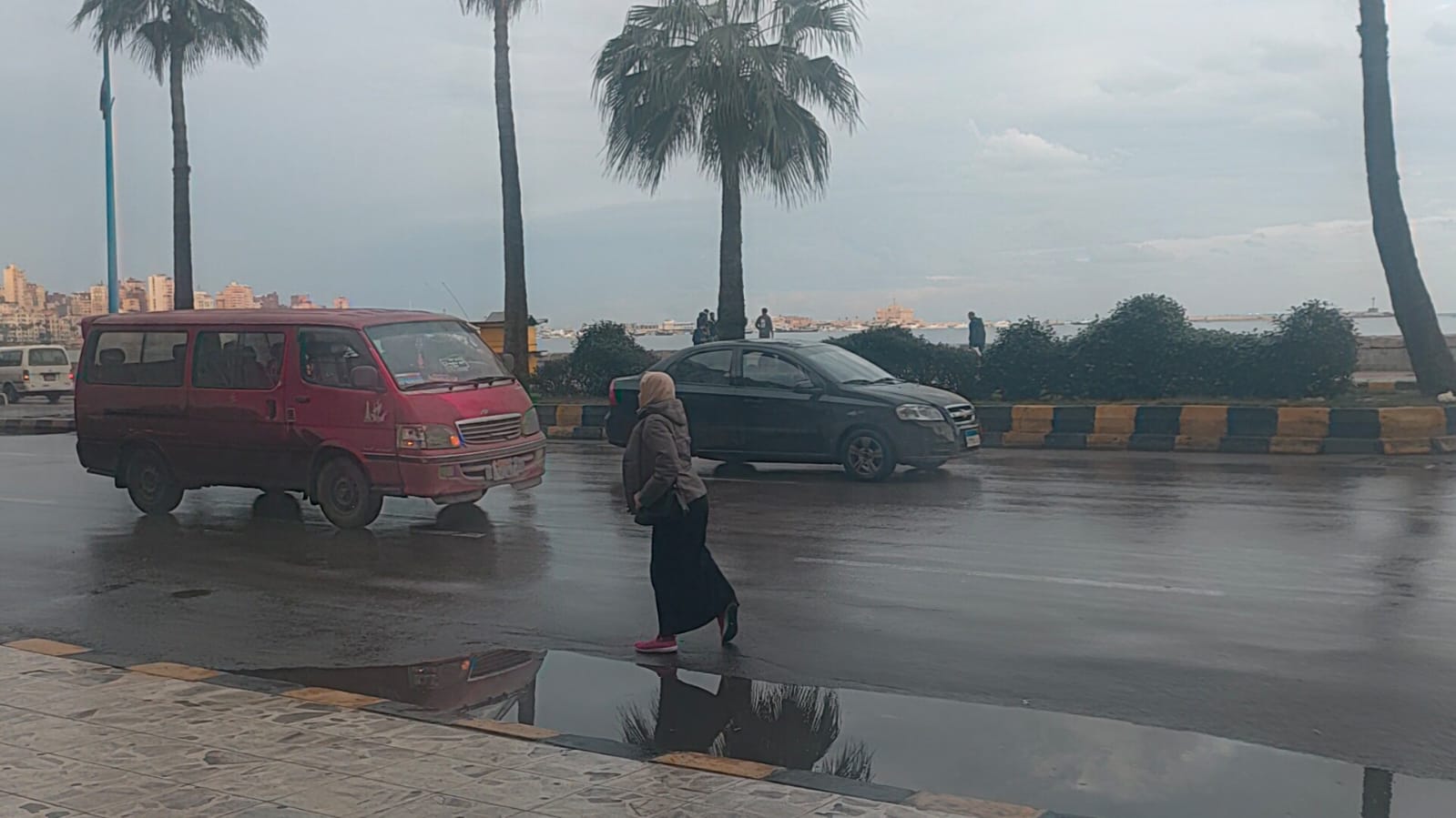 حالة الطقس وسقوط الأمطار في الإسكندرية (4)