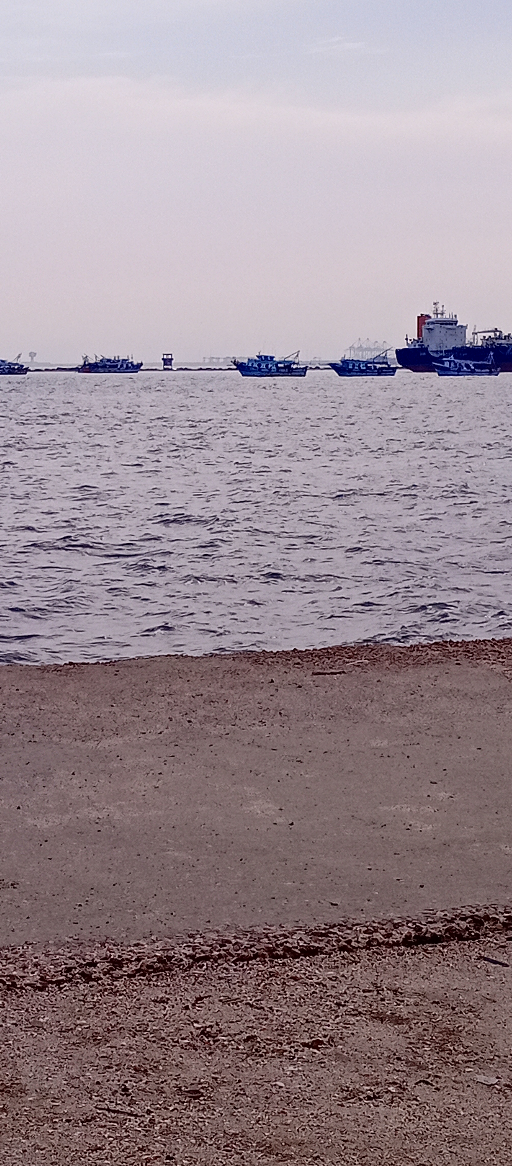 مراكب الصيد ترسو على مشارف الميناء