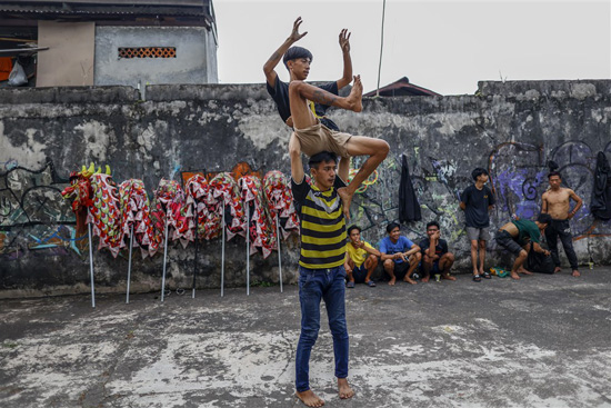 ممارسة رقصة التنين للاحتفالات بالعام القمري الصيني الجديد في بوجور (5)