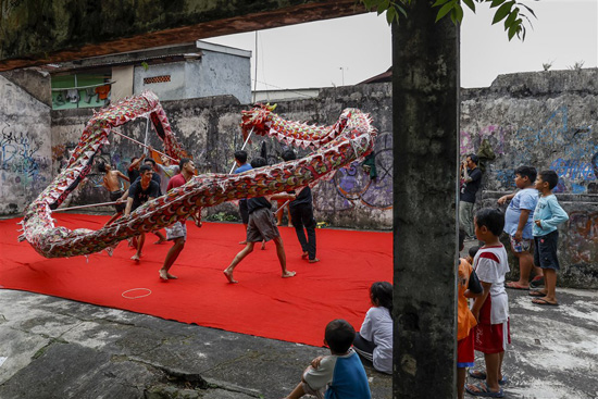 ممارسة رقصة التنين للاحتفالات بالعام القمري الصيني الجديد في بوجور (7)