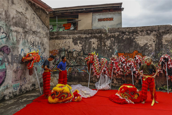 ممارسة رقصة التنين للاحتفالات بالعام القمري الصيني الجديد في بوجور (10)