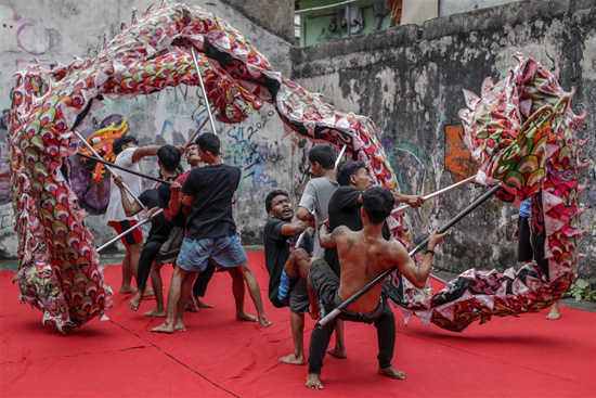 ممارسة رقصة التنين للاحتفالات بالعام القمري الصيني الجديد في بوجور (4)