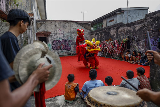 ممارسة رقصة التنين للاحتفالات بالعام القمري الصيني الجديد في بوجور (6)