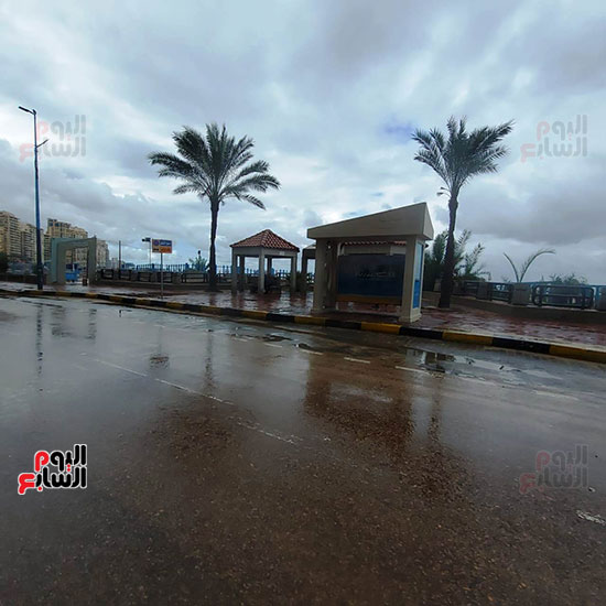 أمطار-الإسكندرية-(6)