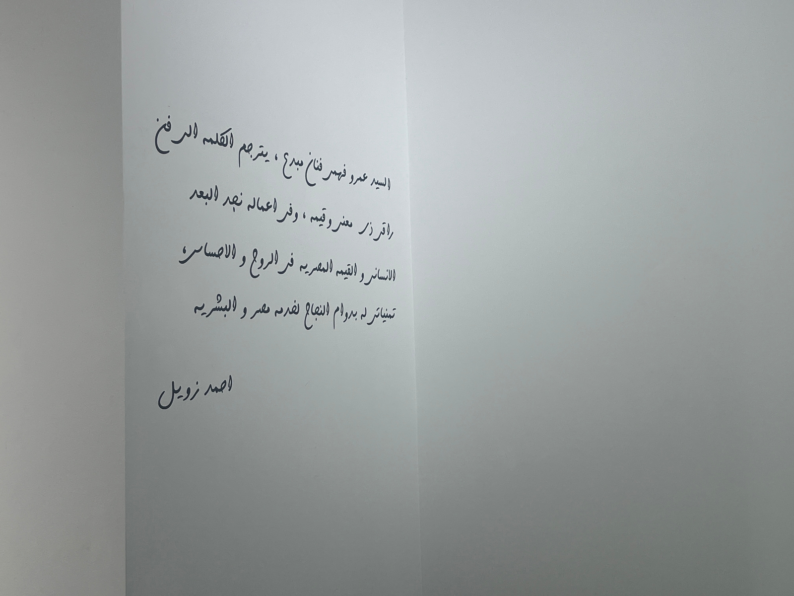افتتاح معرض أهل كايرو للفنان عمرو فهمى (1)
