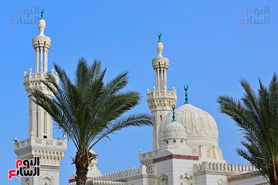 مسجد السلام تحفة معمارية حديثة ببورسعيد (25)