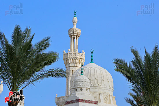 مسجد السلام تحفة معمارية حديثة ببورسعيد (24)