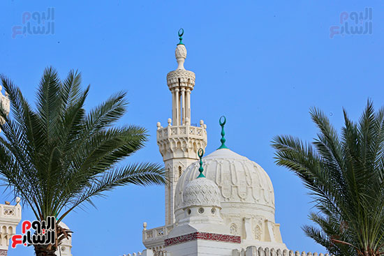 مسجد السلام تحفة معمارية حديثة ببورسعيد (23)