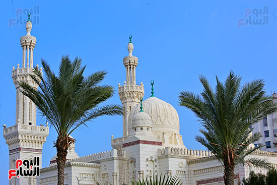 مسجد السلام تحفة معمارية حديثة ببورسعيد (21)