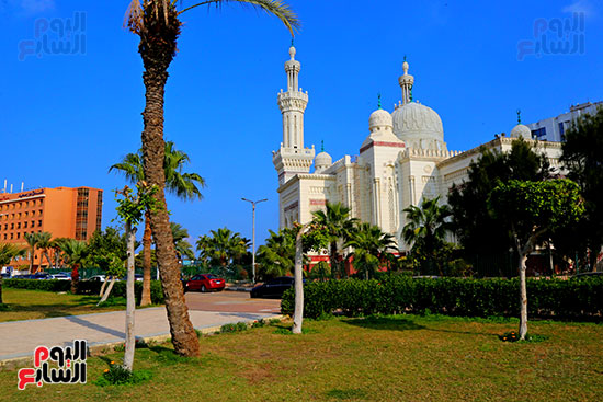 مسجد السلام تحفة معمارية حديثة ببورسعيد (8)