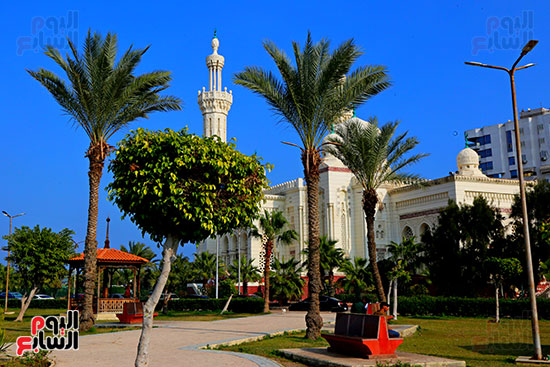 مسجد السلام تحفة معمارية حديثة ببورسعيد (2)