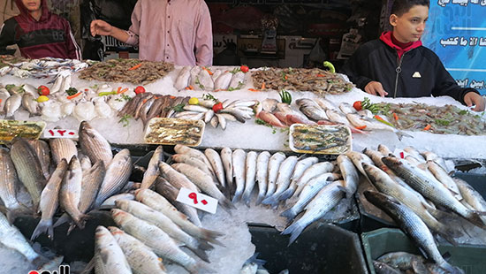 أسعار-الأسماك-ببورسعيد
