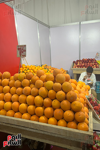 أسعار الخضراوات والفاكهة فى معرض أهلا رمضان (8)
