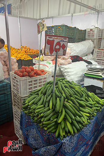 أسعار الخضراوات والفاكهة فى معرض أهلا رمضان (3)