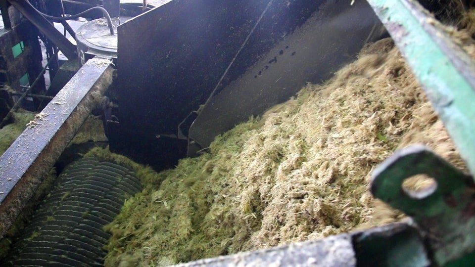 مخرجات عصير القصب داخل المصنع