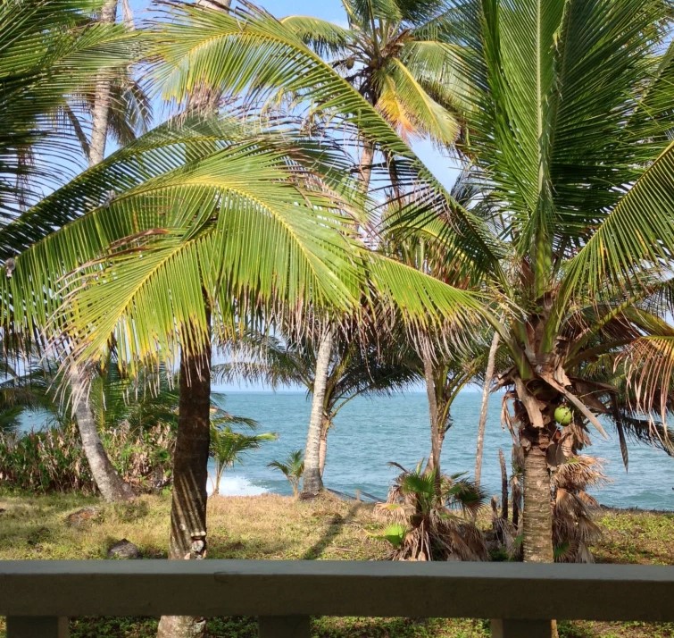 Iguana island house overlooking the beach