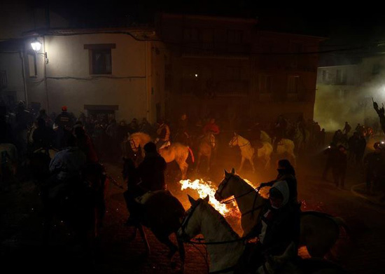 إسبانيا تقيم احتفالات تطهير الخيول بالنار