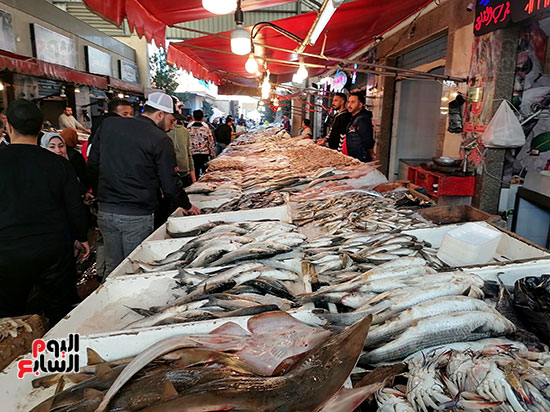 الأسماك-بأنواعها-في-السوق