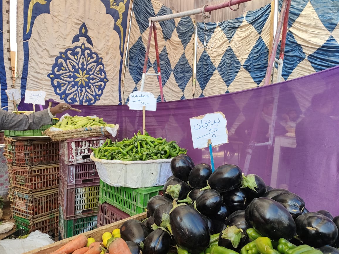 الخضروات فى معارض أهلا رمضان بالأقصر