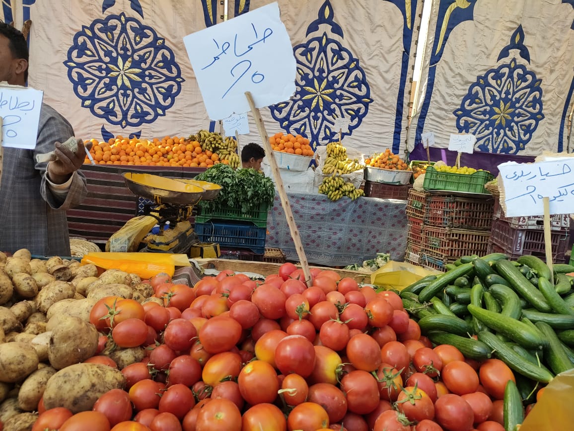 الطماطم فى معارض أهلا رمضان بالأقصر_1