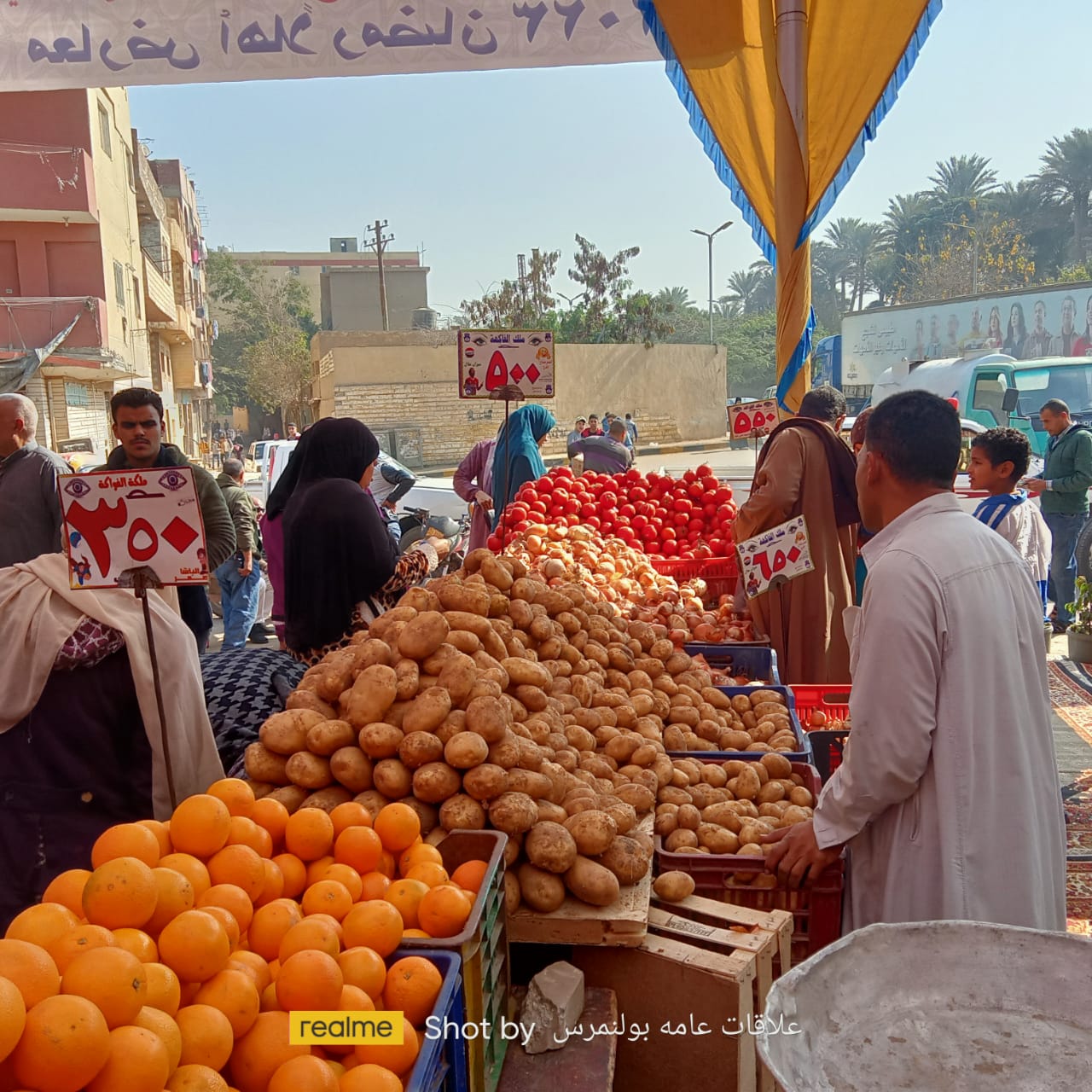 منفذ للخضروات والفواكه في أبو النمرس