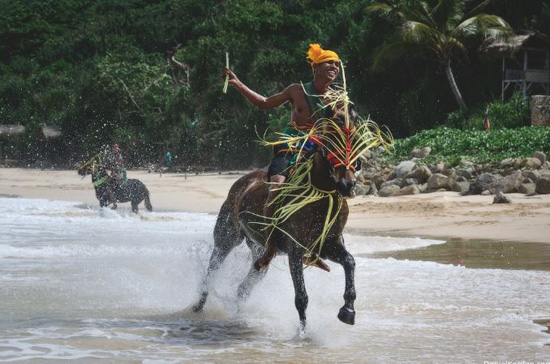 الخيول البرية فى جزيرة سمبا الإندونيسية (6)
