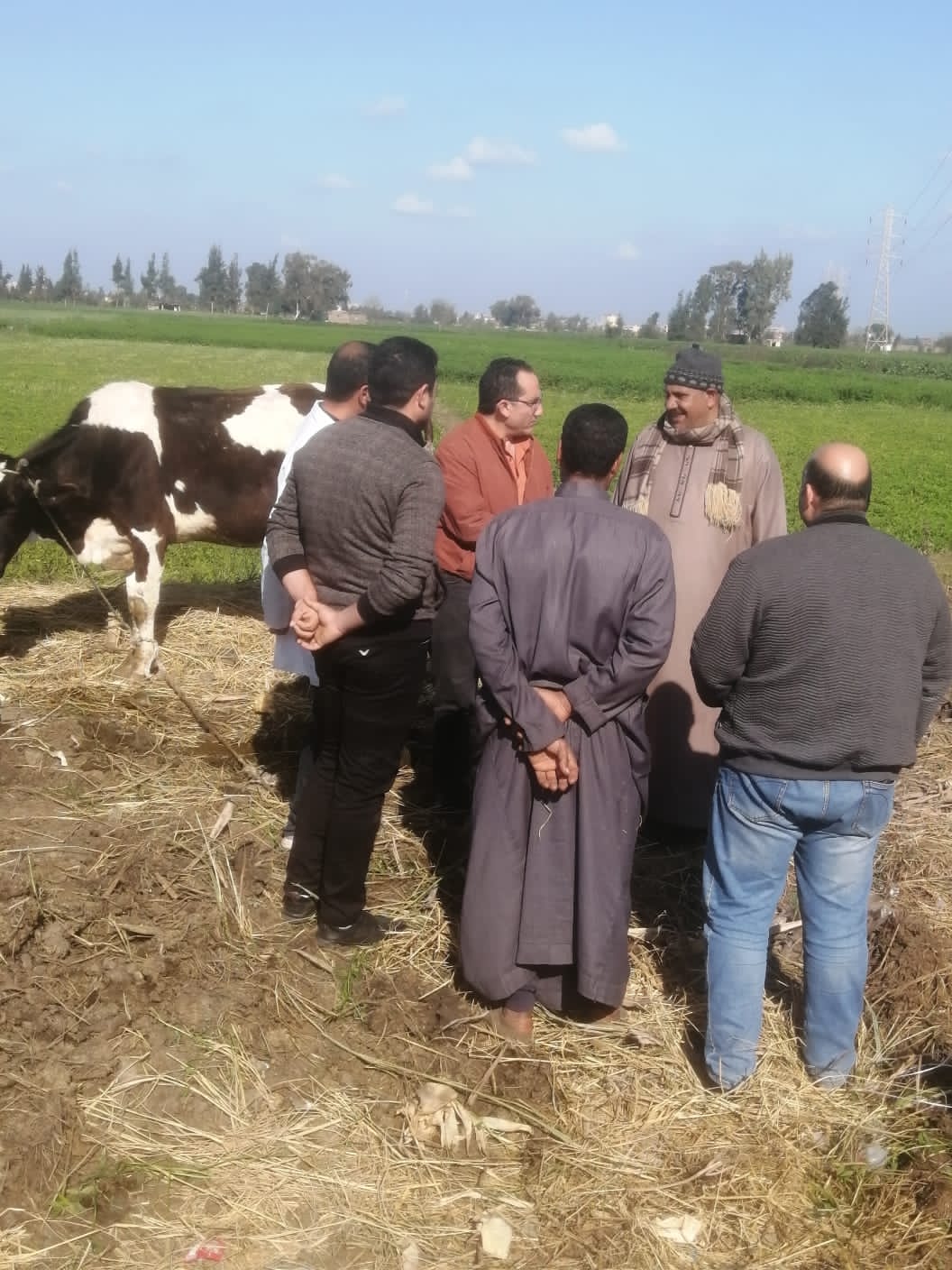 مدبر عام الطب البيطري بكفر الشيخ يتابع اعمال تحصين الماشية