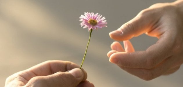 يحب فال المساعدة يحب فال المساعدة