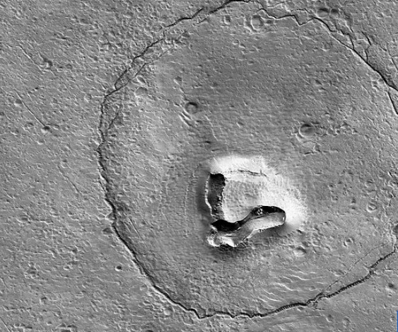 صورة الدب على سطح المريخ
