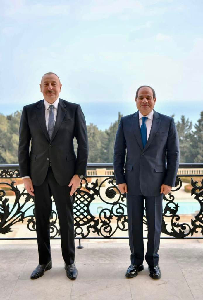 الرئيس عبد الفتاح السيسى ورئيس أذربيجان (2)