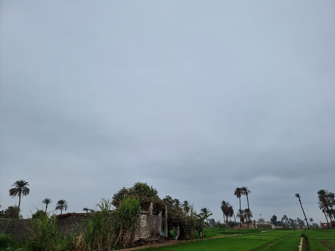 حالة الطقس (1)