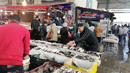 سوق-أسماك-بورسعيد