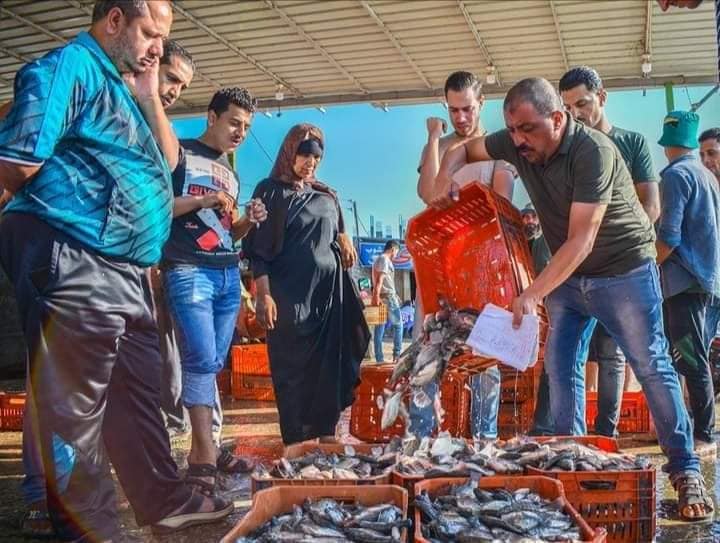بورصة الاسماك بالشخلوبة