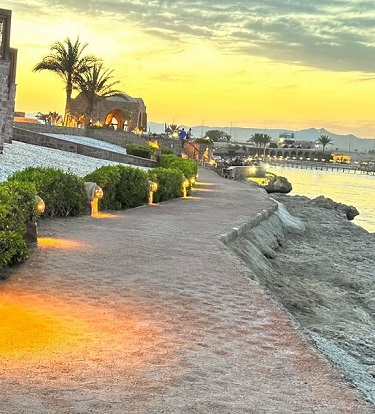 الزعفرانة الزعفرانة