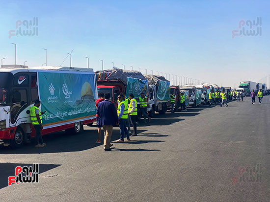 قافله التحالف الوطنى للعمل الاهلى - قافله فلسطين (34)