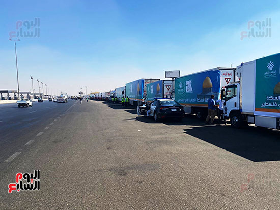 قافله التحالف الوطنى للعمل الاهلى - قافله فلسطين (22)