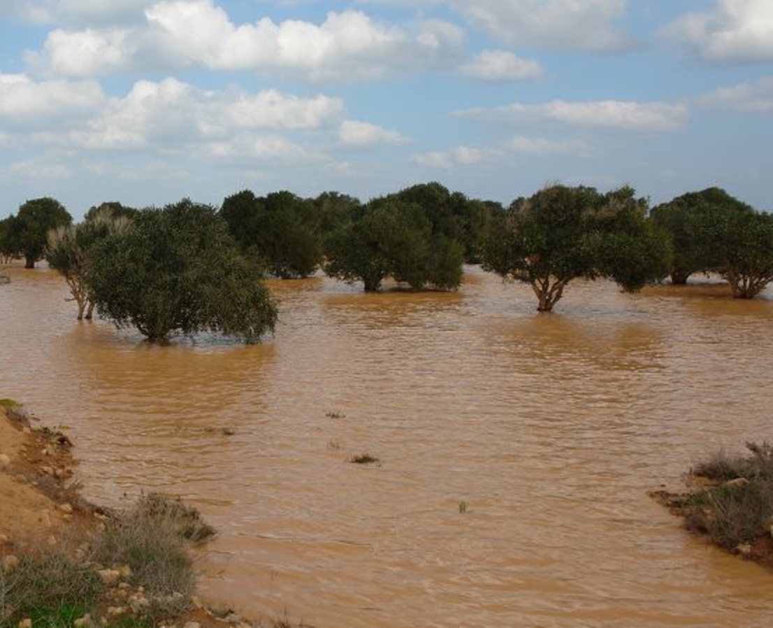 محافظة مطروح تنفذ خطة لحصاد مياه الأمطار  (6)