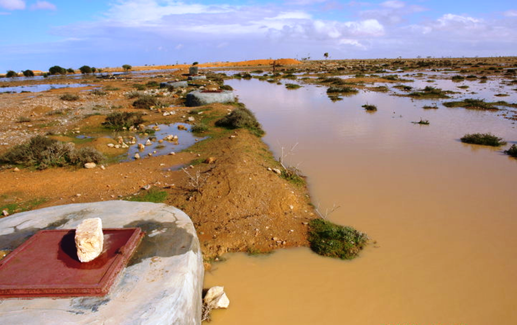 محافظة مطروح تنفذ خطة لحصاد مياه الأمطار  (1)